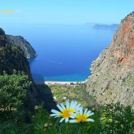 Cileks 4* フェティエ