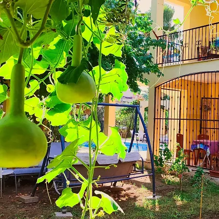 アパートホテル Cileks 4*