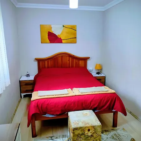 アパートホテル Cileks フェティエ