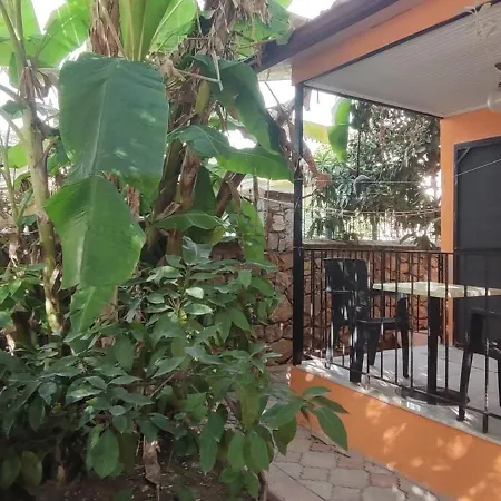 Cileks 4* フェティエ