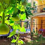 Aparthotel Cileks 4*