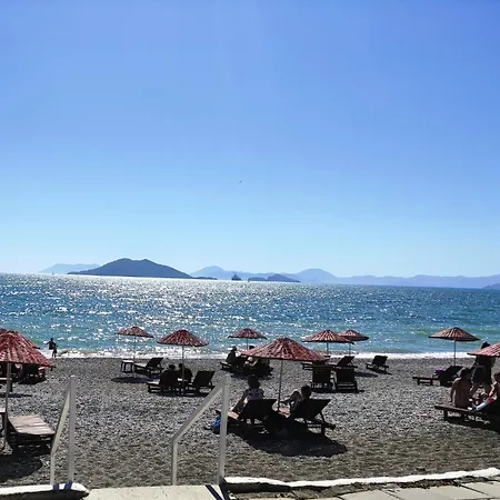 çileks 4*